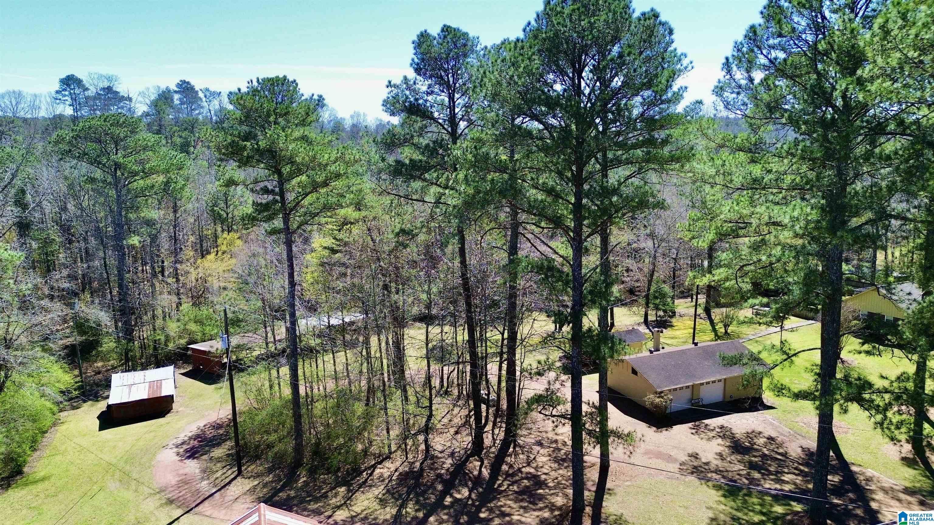 41 Armstrong Loop Hayden, AL 35079 - Photo 16 of 49