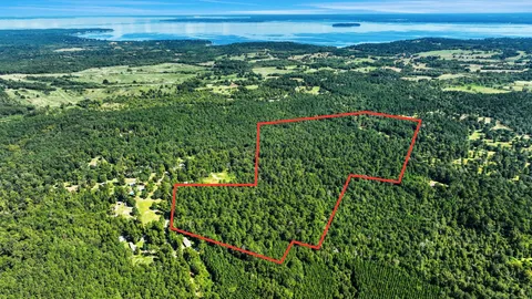 a view of a field with an ocean