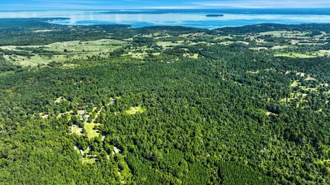 a view of a green field