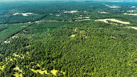 a view of yard with green space