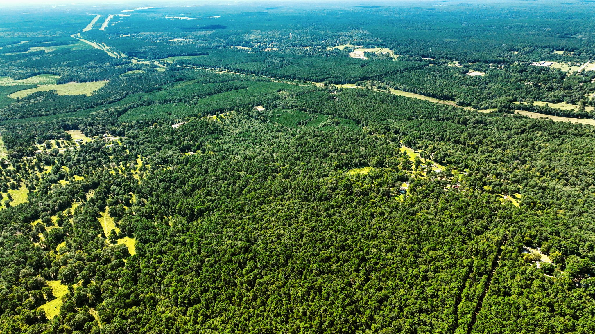 Tbd Rose Hill Road Coldspring, TX 77331 - Photo 6 of 9 a view of a bunch of trees
