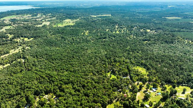 a view of a green field with lots of bushes