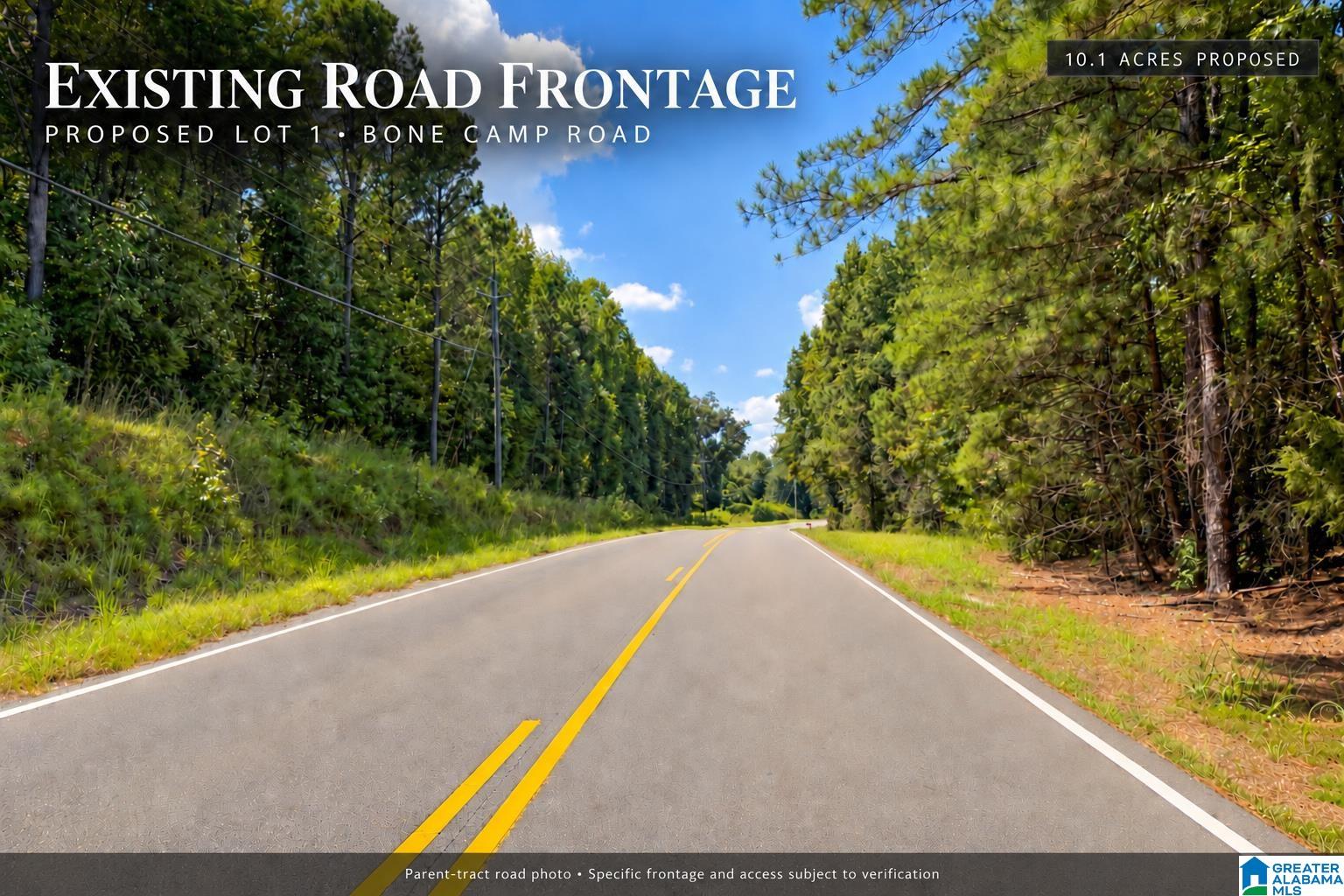 0 Bone Camp Road, Unit 1 Northport, AL 35475 - Photo 4 of 8 Gallery Image 4