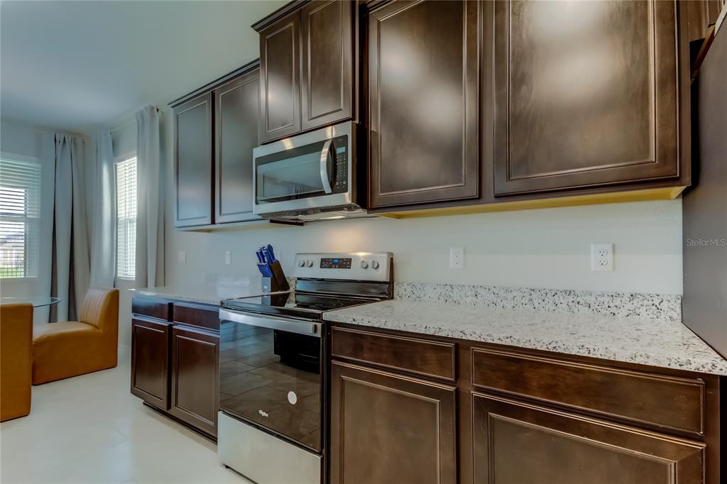 33888 Field Maple Loop Wesley Chapel, FL 33545 - Photo 19 of 58