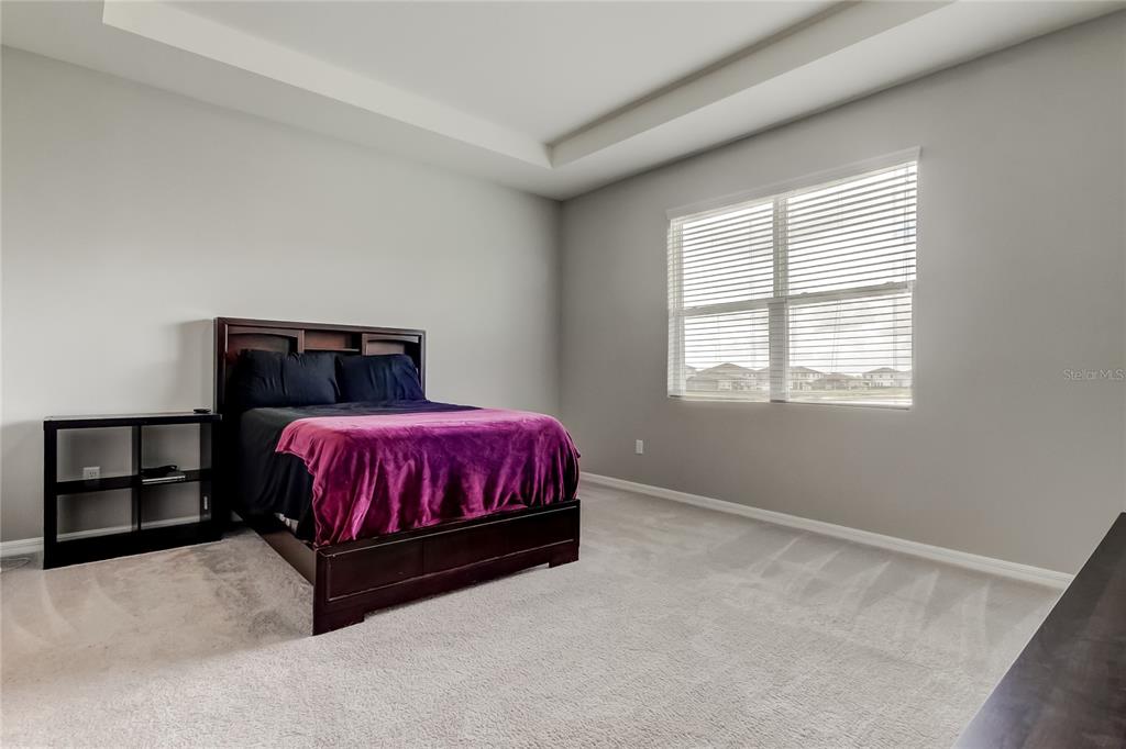 33888 Field Maple Loop Wesley Chapel, FL 33545 - Photo 27 of 58