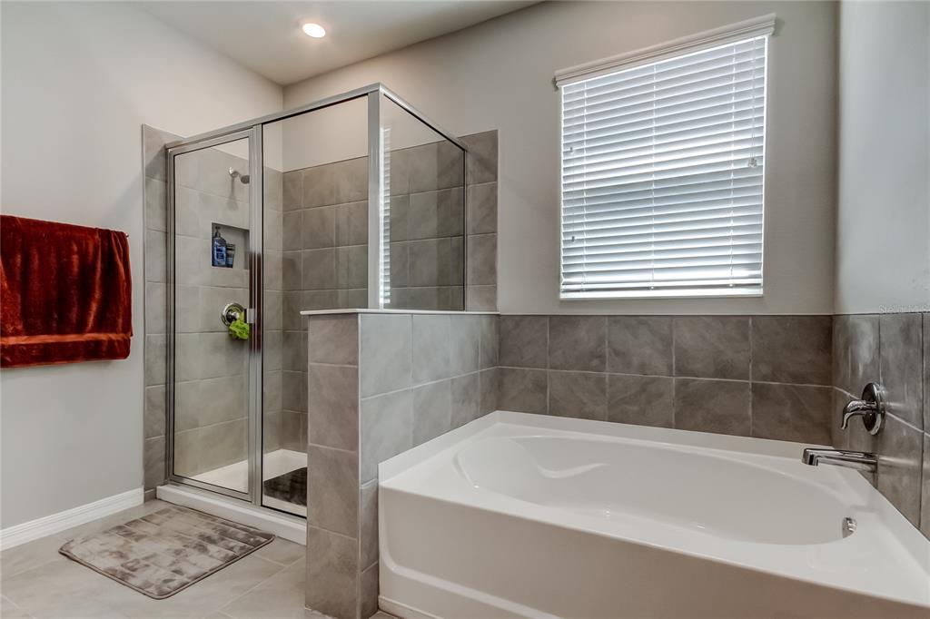 33888 Field Maple Loop Wesley Chapel, FL 33545 - Photo 30 of 58