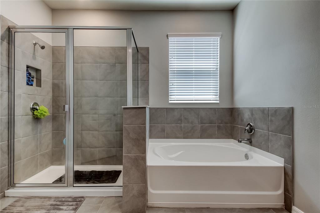 33888 Field Maple Loop Wesley Chapel, FL 33545 - Photo 31 of 58