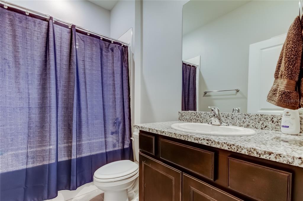 33888 Field Maple Loop Wesley Chapel, FL 33545 - Photo 37 of 58