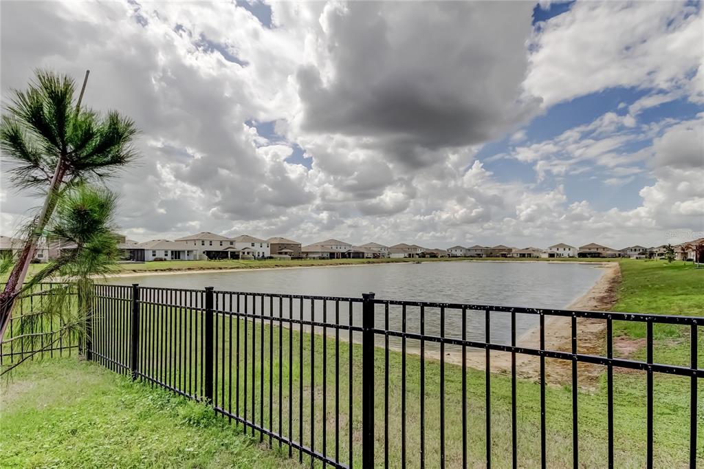 33888 Field Maple Loop Wesley Chapel, FL 33545 - Photo 49 of 58