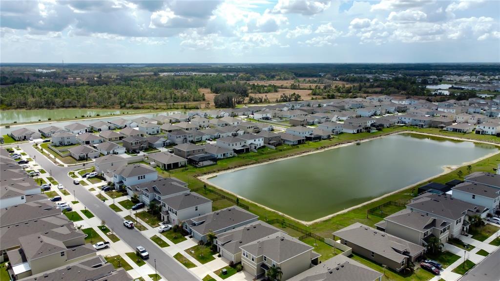 33888 Field Maple Loop Wesley Chapel, FL 33545 - Photo 53 of 58