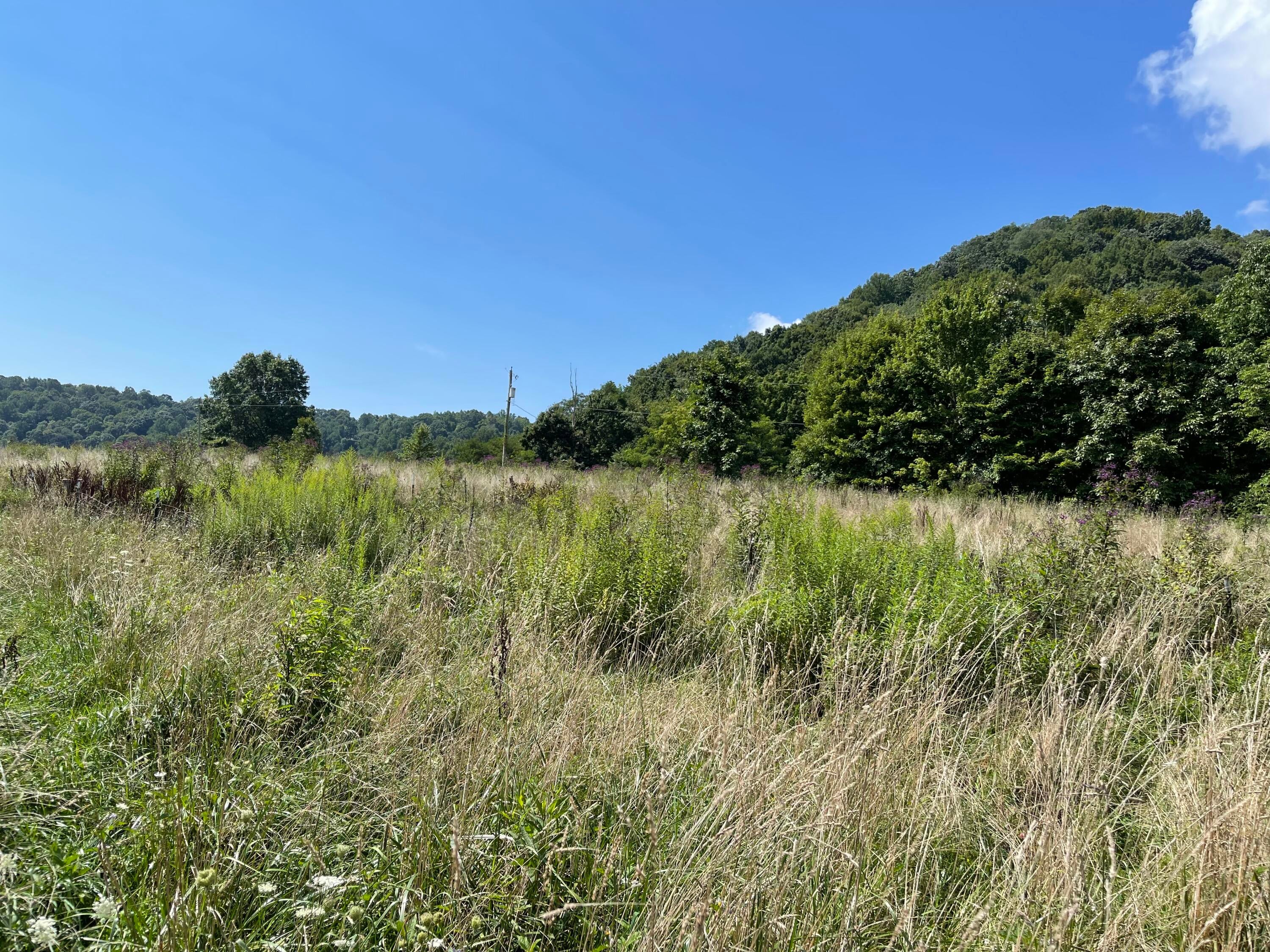 Ward Bench Road Sandstone, WV 25985 - Photo 45 of 92 Gallery Image 45