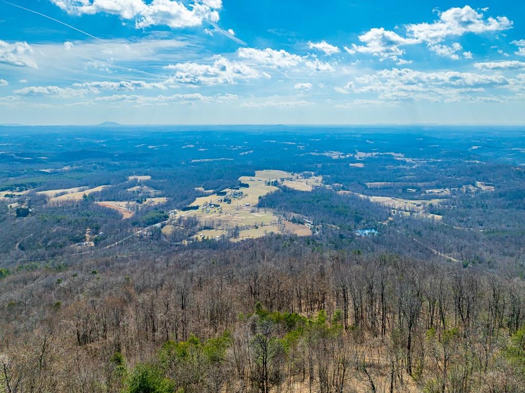 Lot 112 Spring Pond Trail, Unit 112 Fancy Gap, VA 24328 - Photo 1 of 54 Gallery Image 1