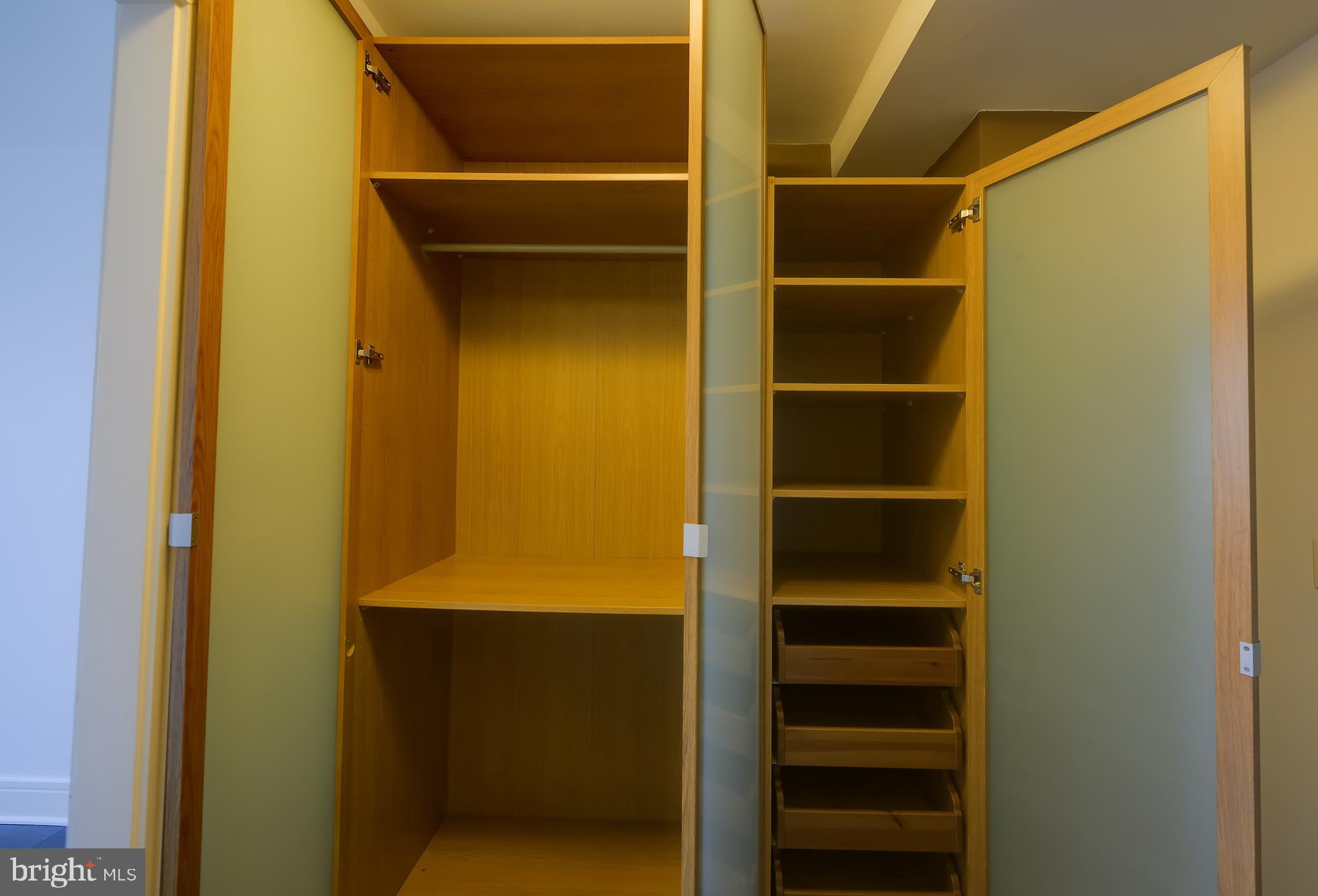 800 4th Street Southwest, Unit N518 Washington, DC 20024 - Photo 21 of 26 a view of walk in closet with empty racks
