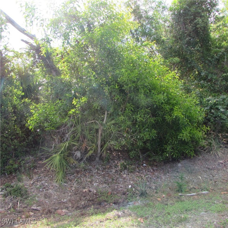 12348 Dolphin Road Bokeelia, FL 33922 - Photo 2 of 8 a view of a forest