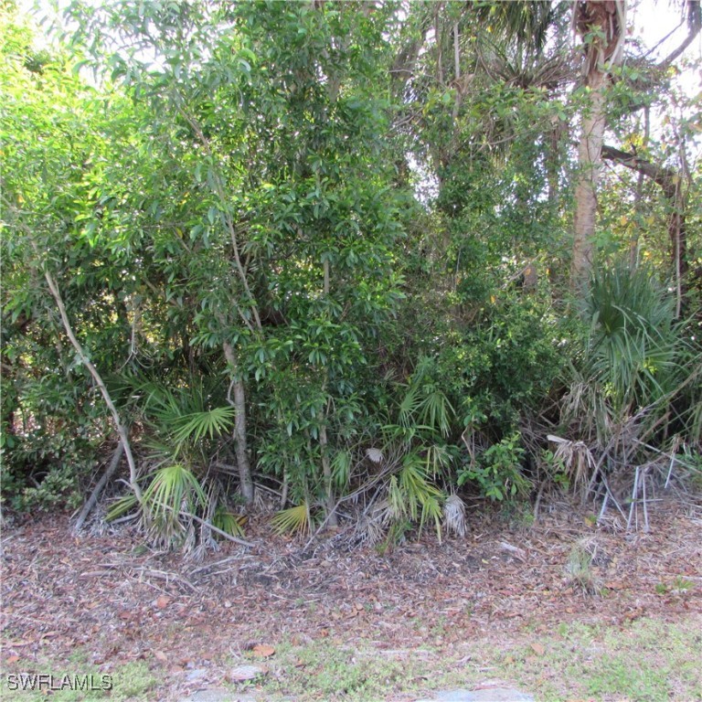 12348 Dolphin Road Bokeelia, FL 33922 - Photo 7 of 8 a view of a forest