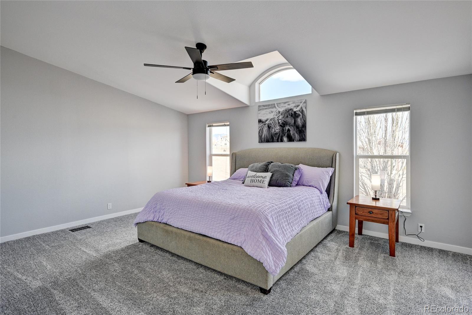 13888 Schoger Road Nathrop, CO 81236 - Photo 19 of 49