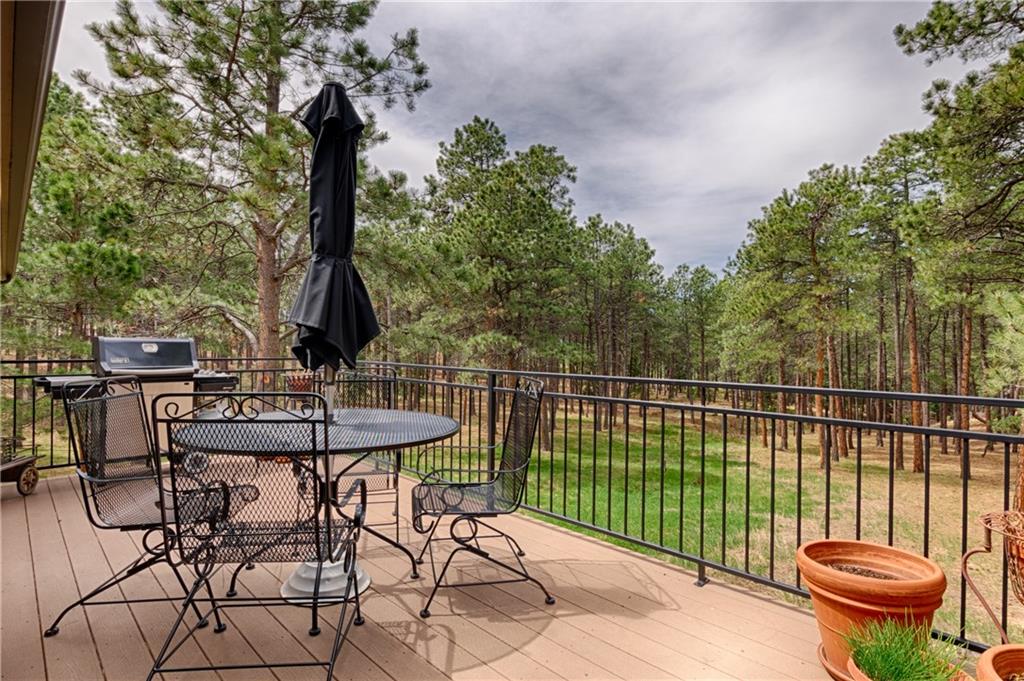 3245 Arena Road Colorado Springs, CO 80921 - Photo 27 of 36