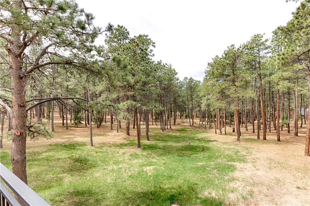 3245 Arena Road Colorado Springs, CO 80921 - Photo 28 of 36