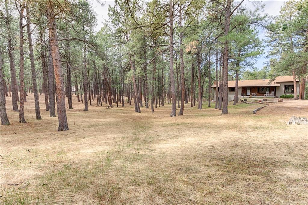 3245 Arena Road Colorado Springs, CO 80921 - Photo 32 of 36