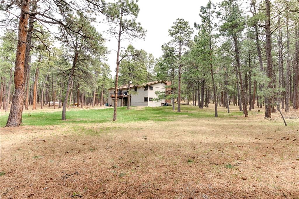 3245 Arena Road Colorado Springs, CO 80921 - Photo 33 of 36