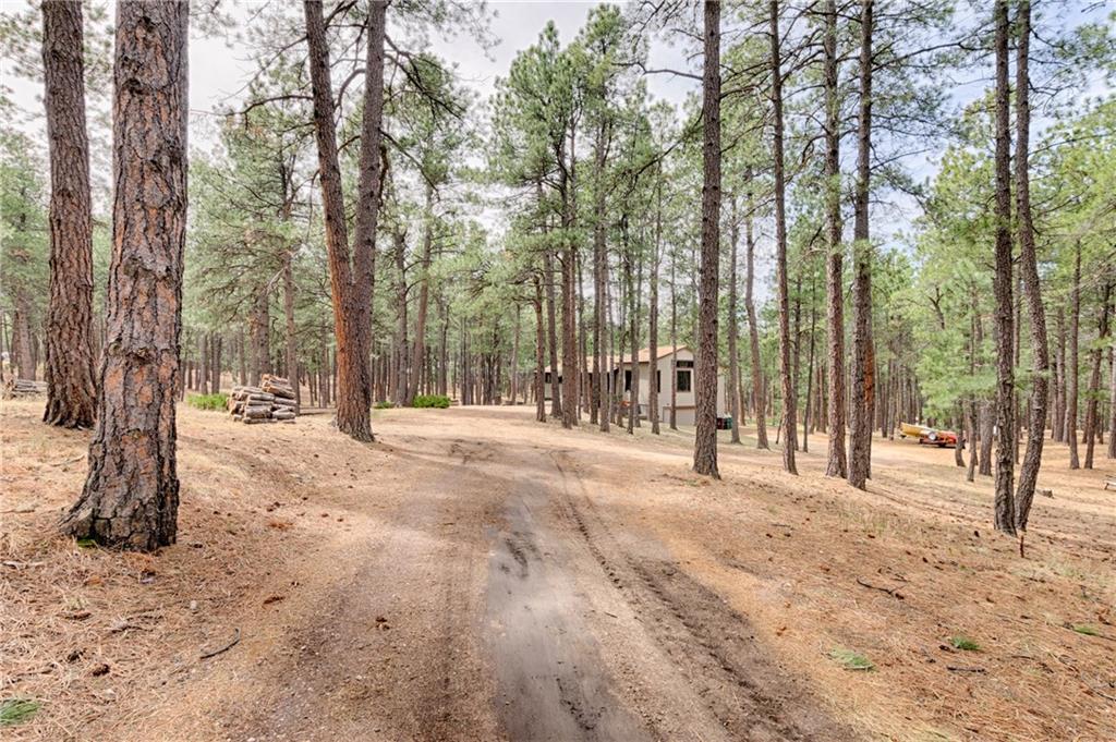 3245 Arena Road Colorado Springs, CO 80921 - Photo 36 of 36