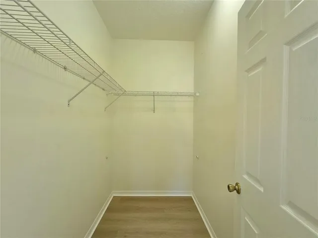 $2,300 | 1045 Blackwater Drive, Wesley Chapel, FL 33543