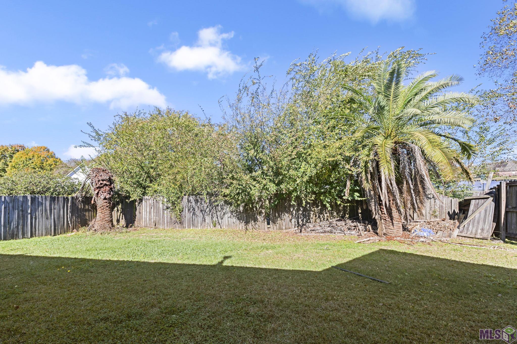 37036 Rivergate Avenue Geismar, LA 70734 - Photo 12 of 18