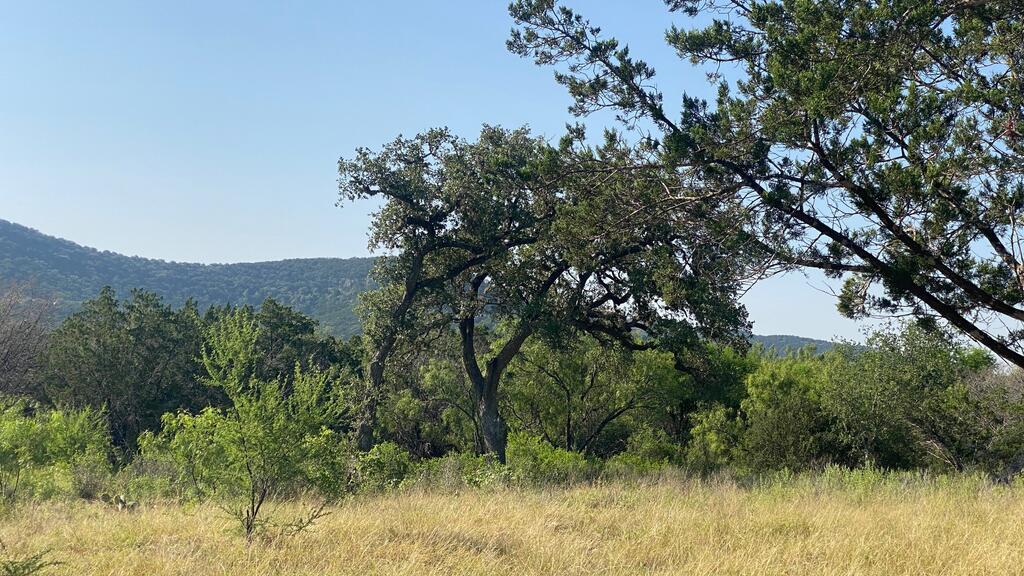523 Kahn Drive Rio Frio, TX 78879 - Photo 37 of 39 Gallery Image 37