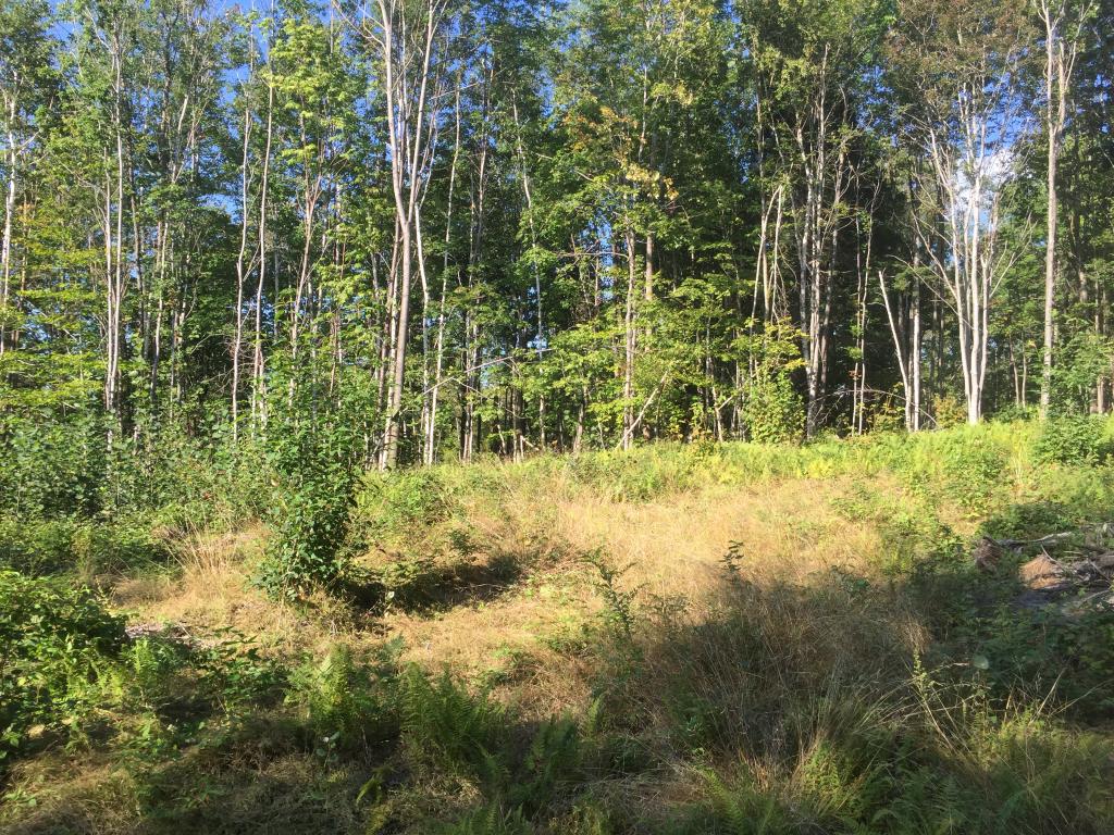 0 Fuller Hill Road Warren, VT 05674 - Photo 1 of 14