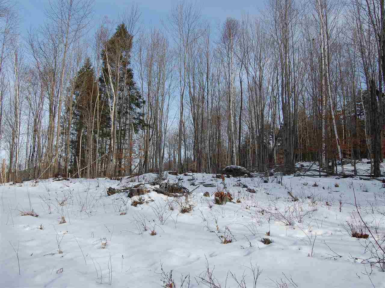 0 Fuller Hill Road Warren, VT 05674 - Photo 11 of 14
