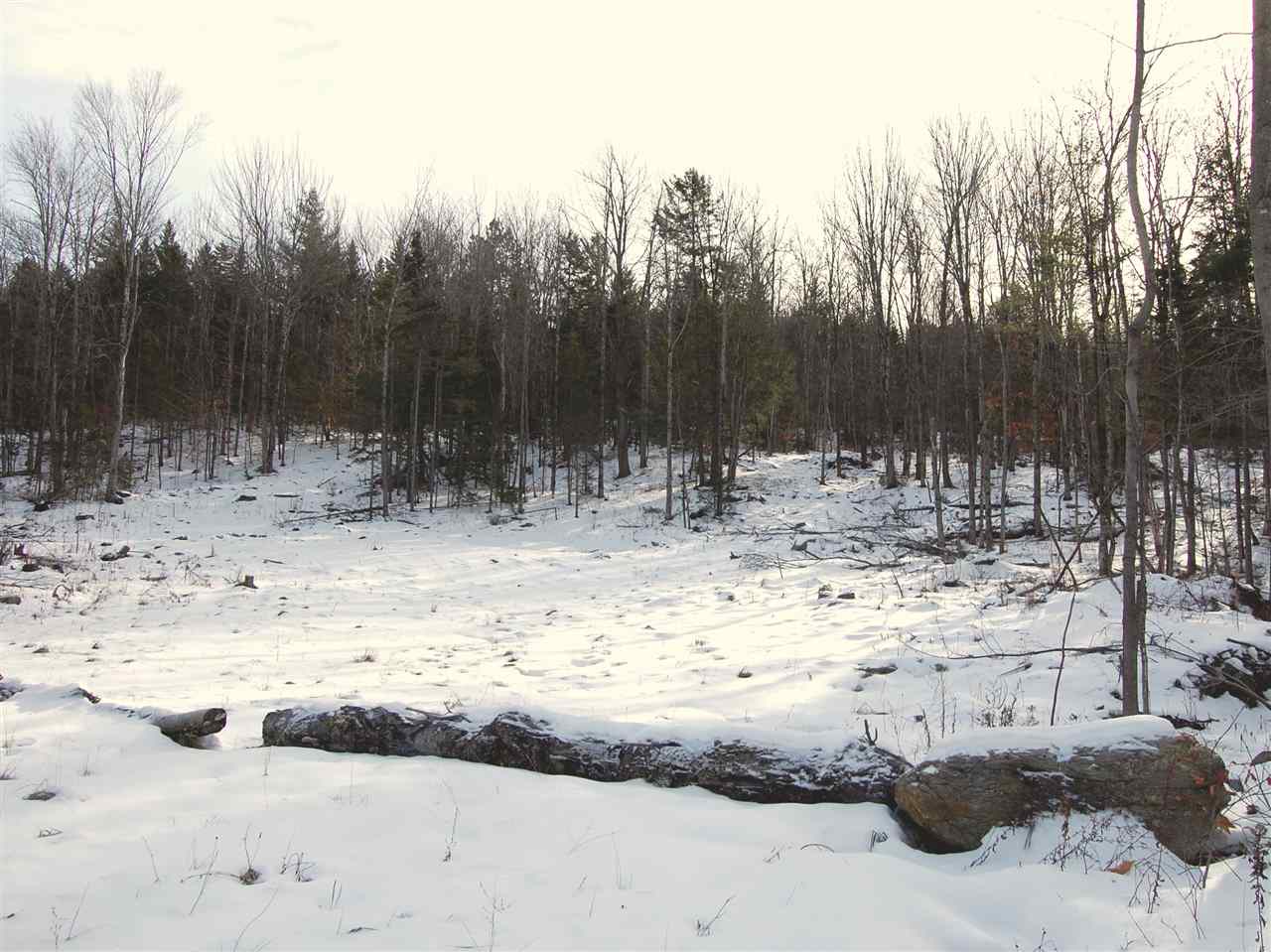 0 Fuller Hill Road Warren, VT 05674 - Photo 12 of 14