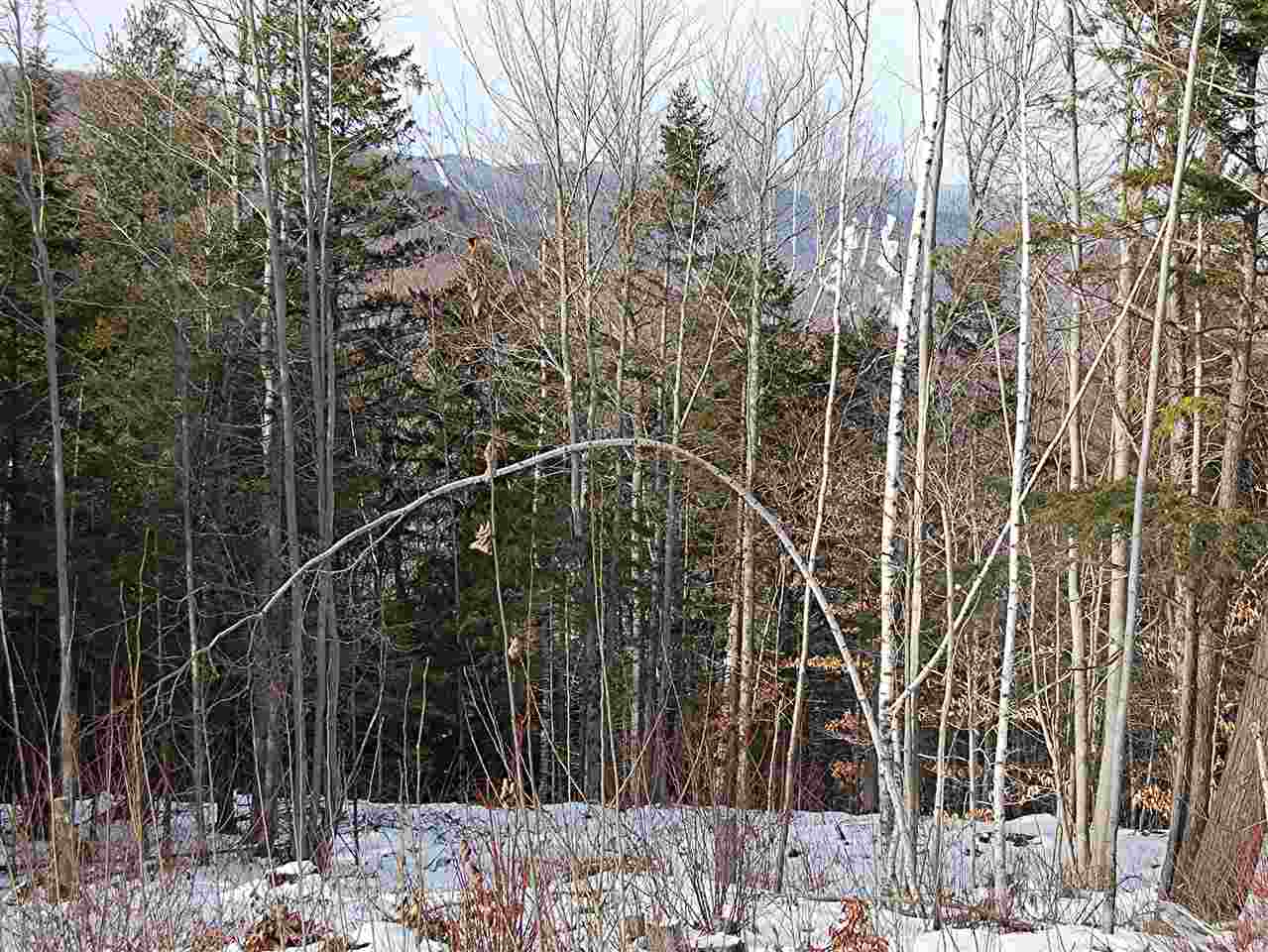 0 Fuller Hill Road Warren, VT 05674 - Photo 13 of 14