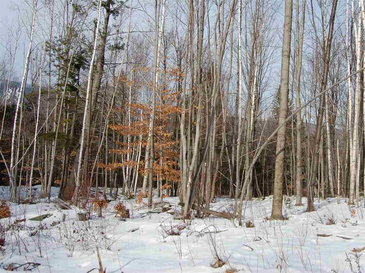 0 Fuller Hill Road Warren, VT 05674 - Photo 14 of 14
