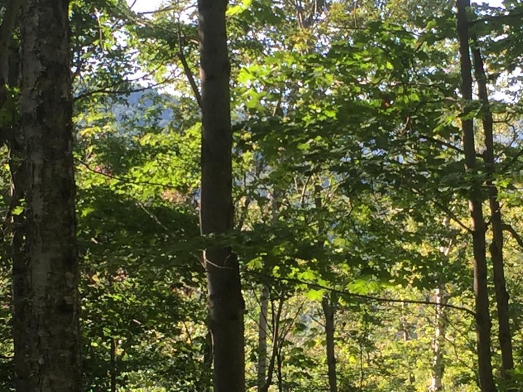 0 Fuller Hill Road Warren, VT 05674 - Photo 4 of 14
