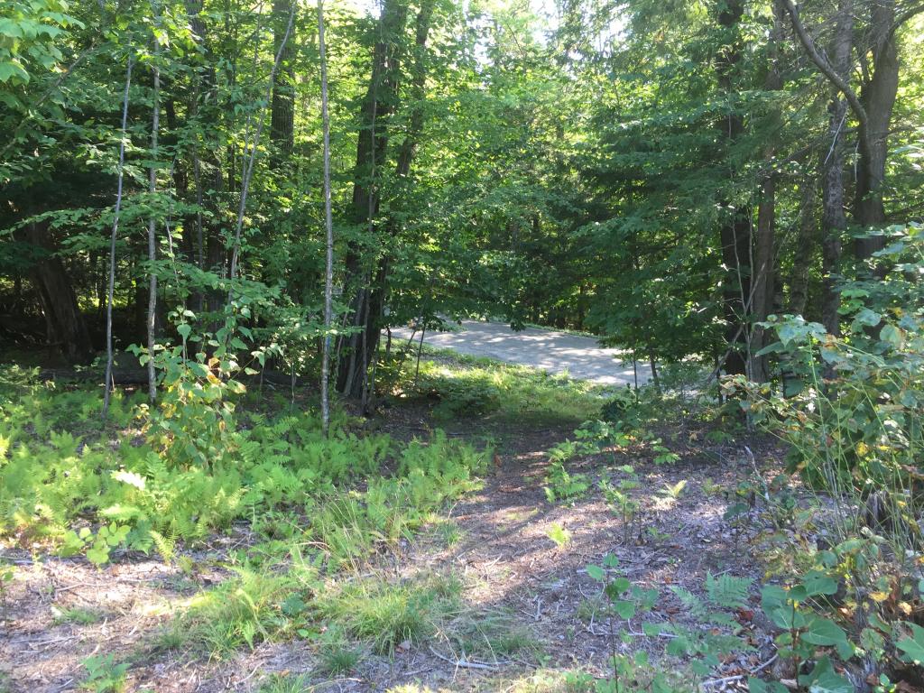 0 Fuller Hill Road Warren, VT 05674 - Photo 10 of 14