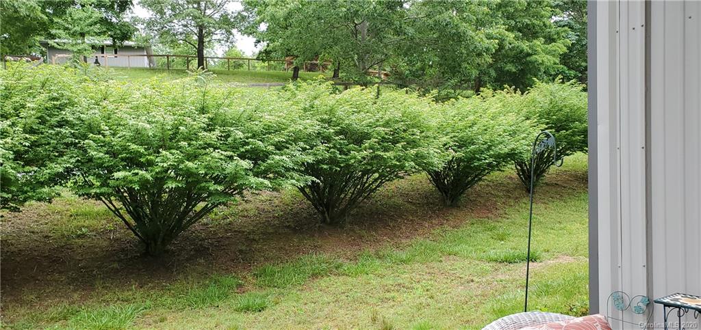 21 Lake Adger Road Mill Spring, NC 28756 - Photo 4 of 17 a view of a garden