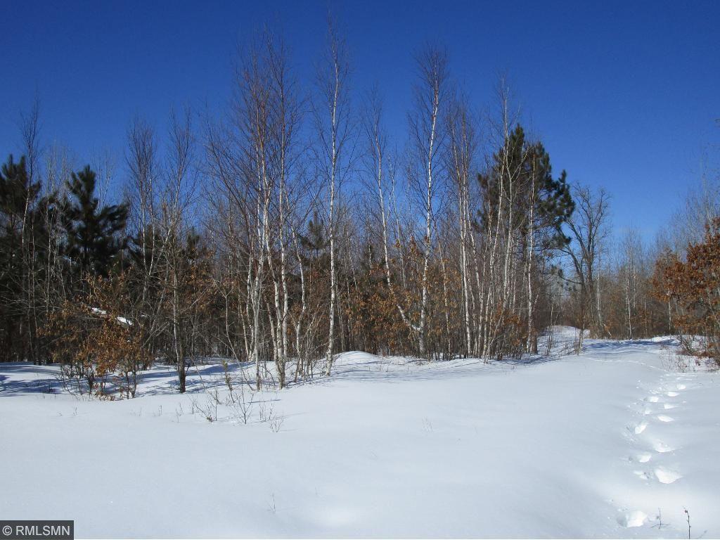 Xxx Xxx County Road Shell Lake, WI 54871 - Photo 1 of 1