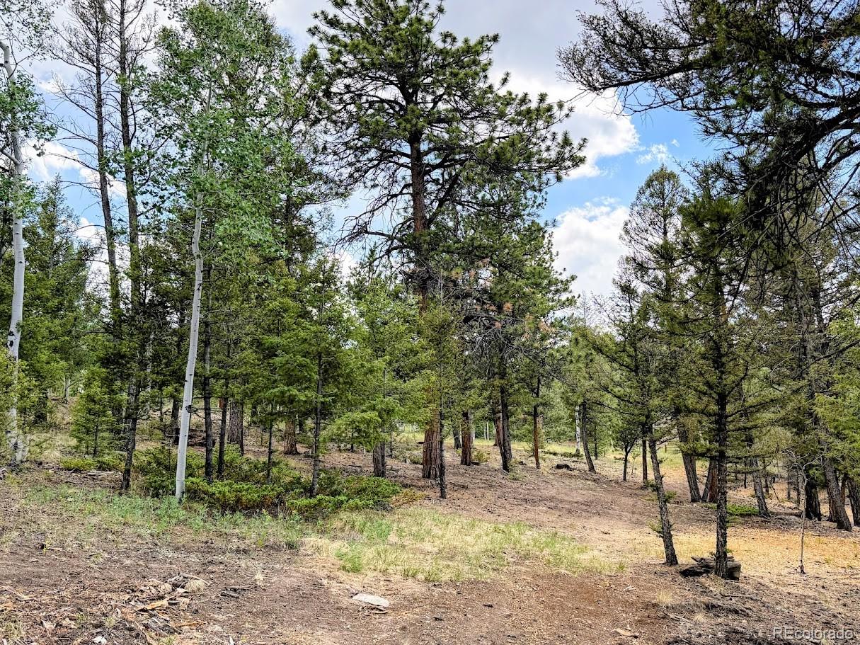 1789 Bellows Road Hartsel, CO 80449 - Photo 14 of 21