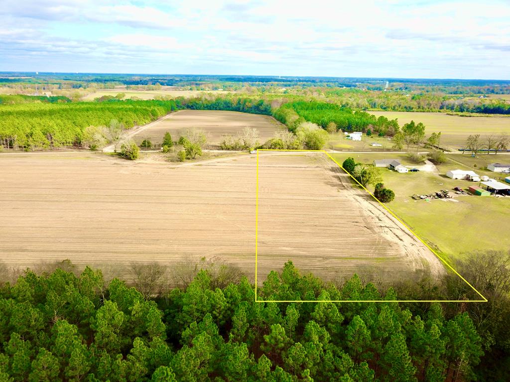 3.42-acres Summer Road Slocomb, AL 36375 - Photo 20 of 24