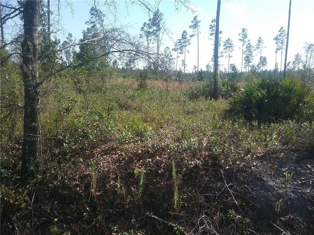 17643 Andrews Road Hilliard, FL 32046 - Photo 3 of 5 Gallery Image 3
