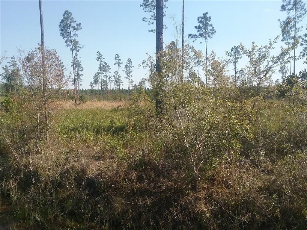 17643 Andrews Road Hilliard, FL 32046 - Photo 4 of 5 Gallery Image 4