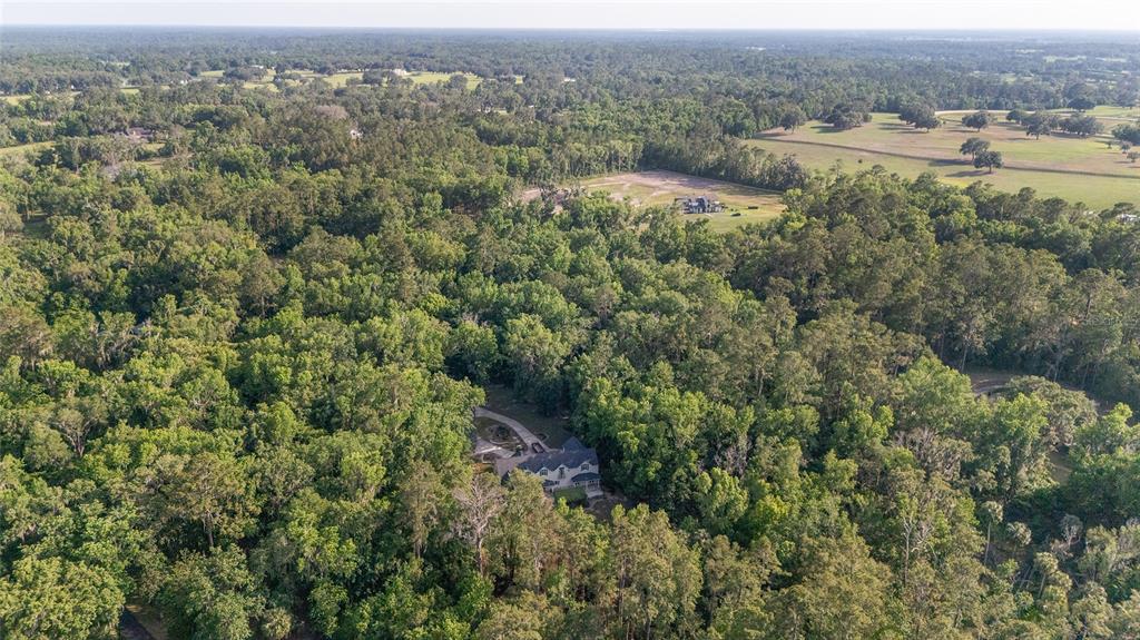 1251 Southwest 43rd Place Ocala, FL 34471 - Photo 82 of 83