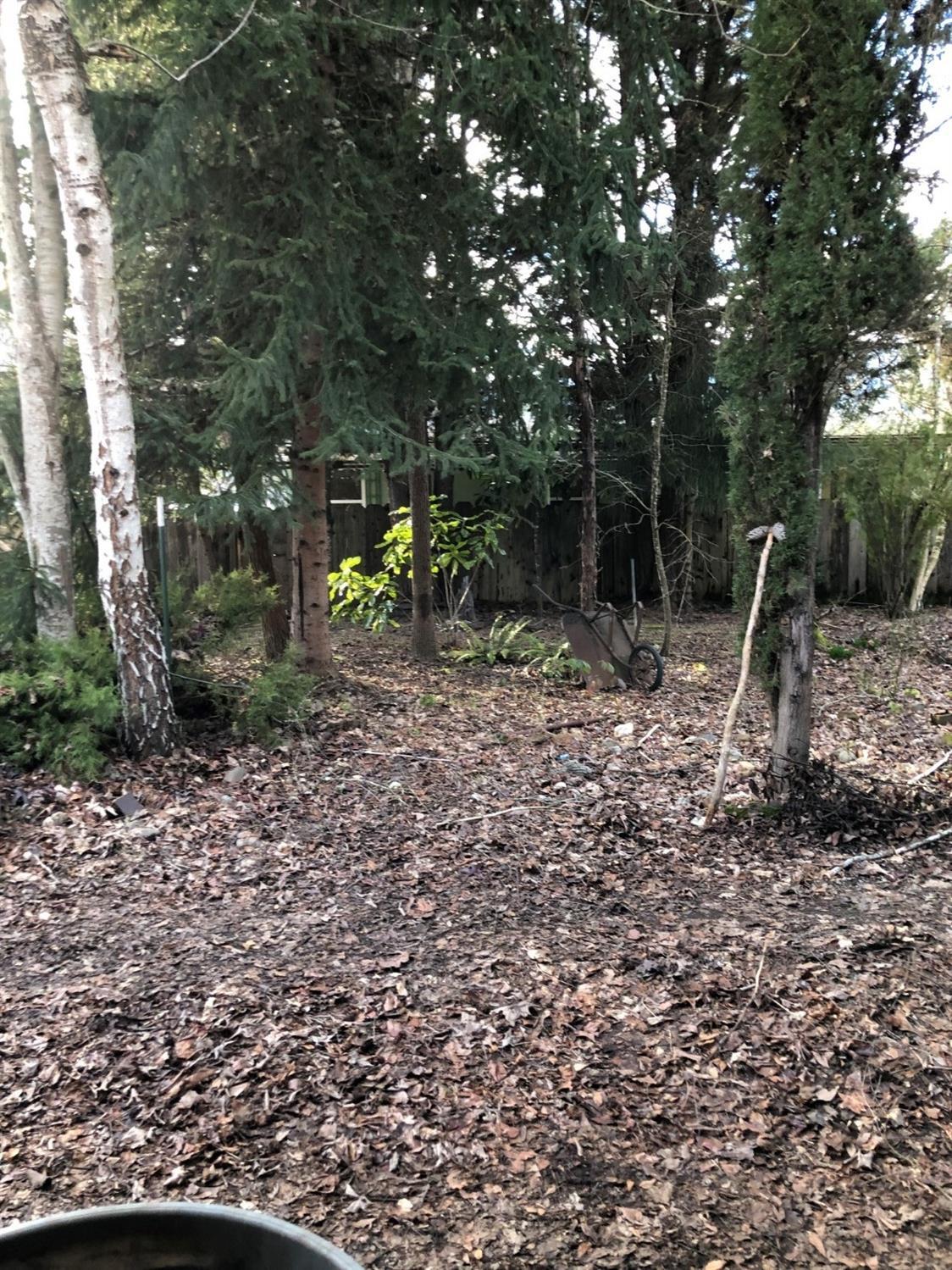 6226 East Evans Creek Road, Unit 15 Rogue River, OR 97537 - Photo 1 of 30 a backyard of a house with lots of green space