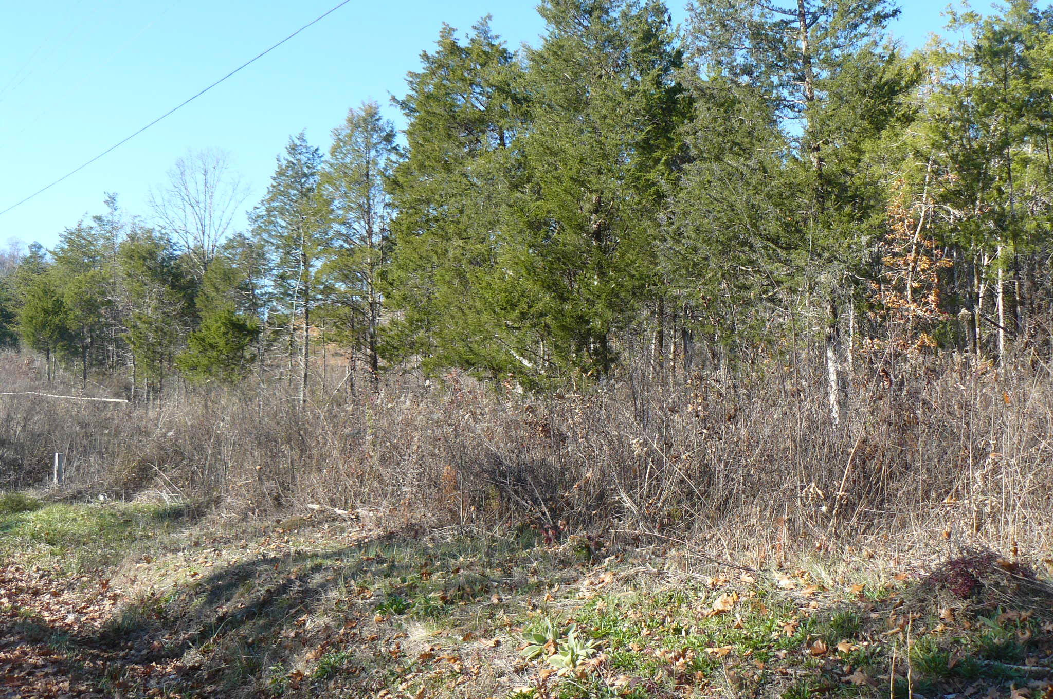 204 Gamble Gap Road Tellico Plains, TN 37385 - Photo 3 of 5 P1060553