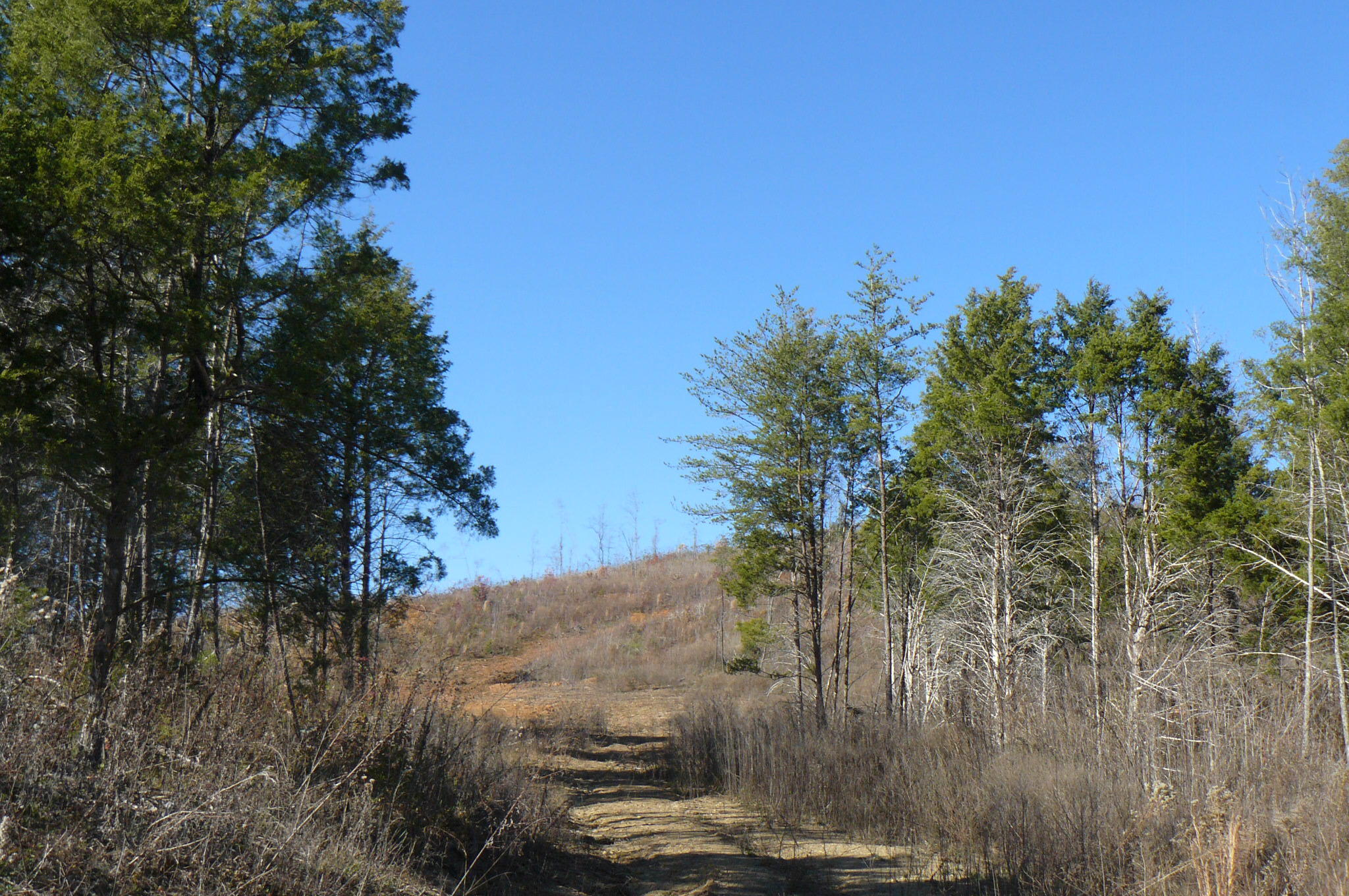 204 Gamble Gap Road Tellico Plains, TN 37385 - Photo 4 of 5 P1060554