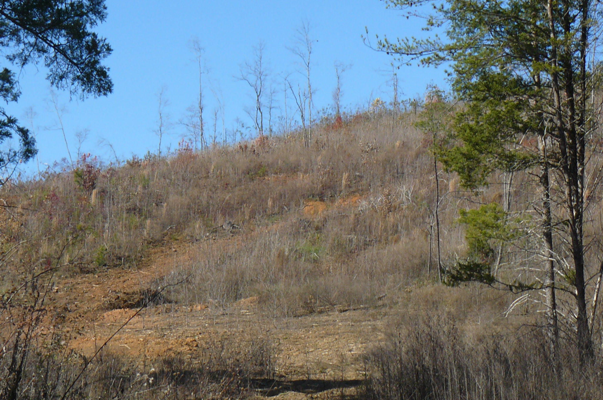204 Gamble Gap Road Tellico Plains, TN 37385 - Photo 5 of 5 P1060555