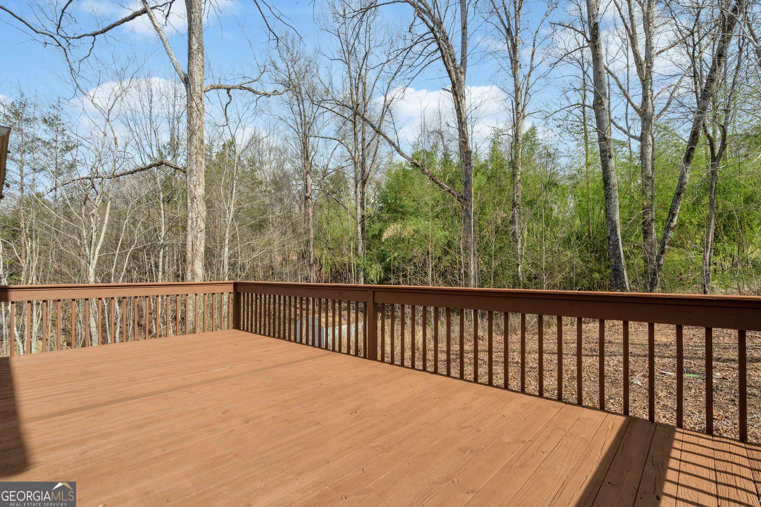 169 Leafview Drive Cleveland, GA 30528 - Photo 57 of 75