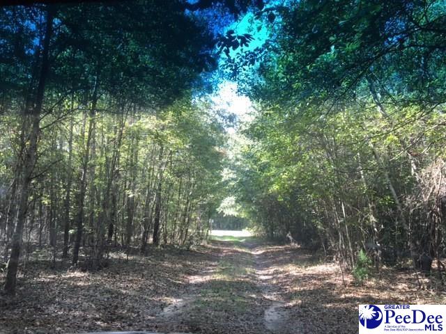 4795 Union Church Road McBee, SC 29101 - Photo 1 of 1 Gallery Image 1