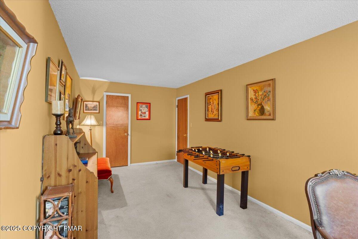 255 Nittany Court Mount Pocono, PA 18344 - Photo 23 of 28 51-Photo-50