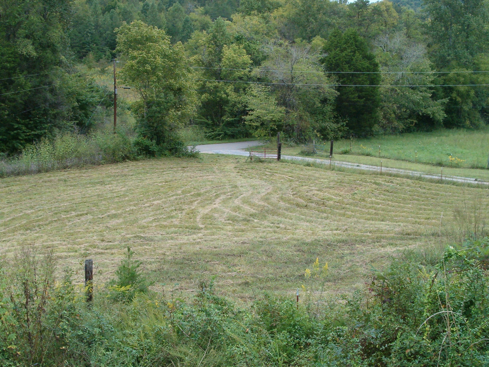 911 Dogtown Road Ten Mile, TN 37880 - Photo 2 of 11 012